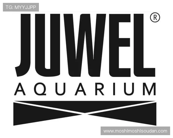 ag国际馆登录页面更新公告，最新版本入口地址及使用指南