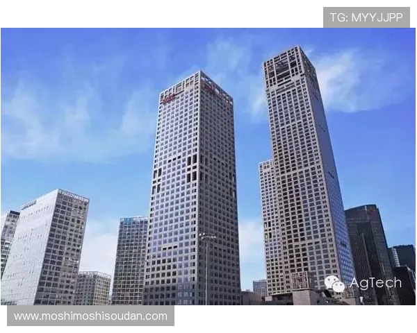 AG娱乐集团的品牌建设与市场推广策略详解,提升品牌影响力的有效途径